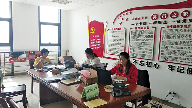 文旅局文书档案整理