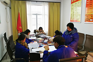 农村档案规范化试点档案整理