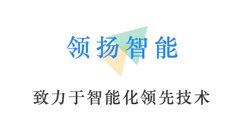 滁州领扬智能科技有限公司